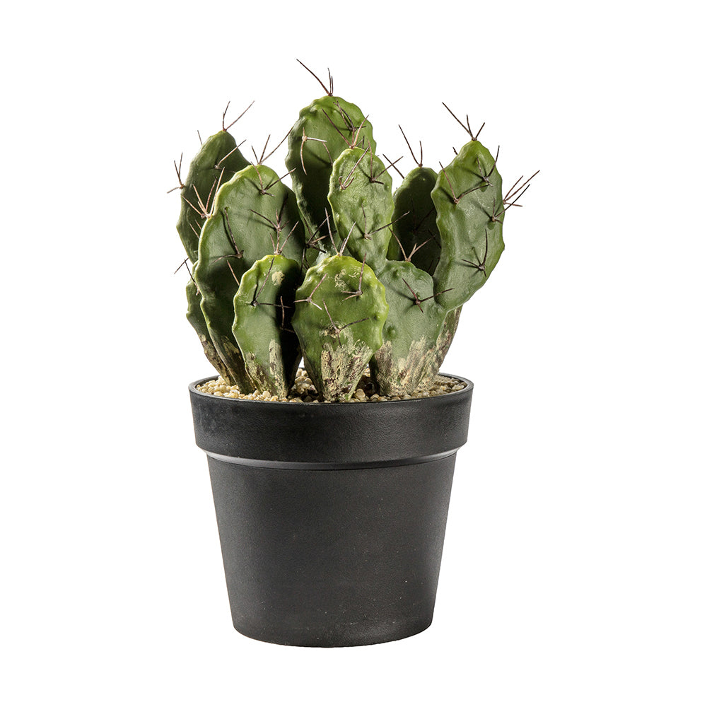 5059413399633-hudson-living-22x40cm-cactus-optunia-planter-home-decor
