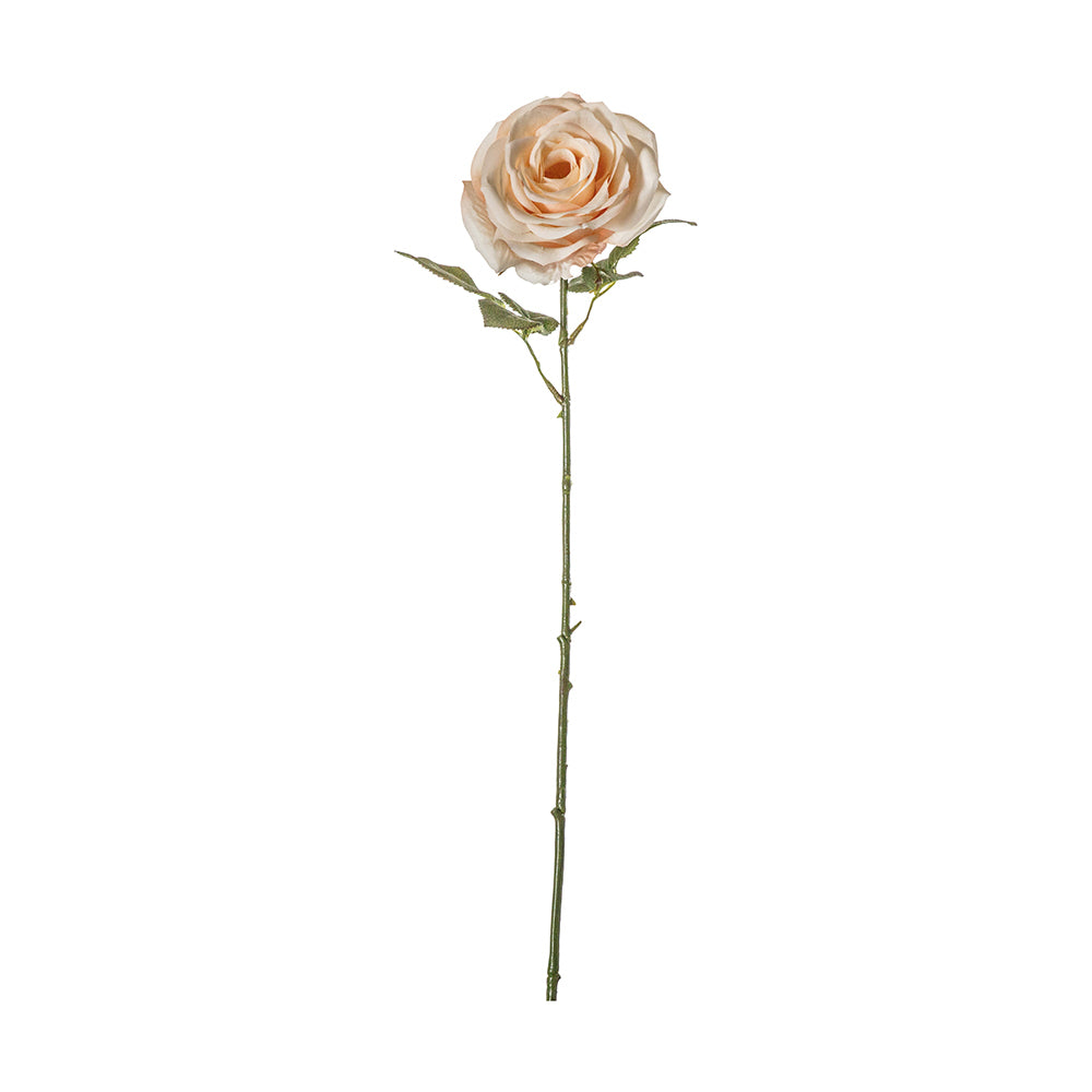 5059413400087-3pk-hudson-living-artificial-66cm-rose-stem-faux-flower-white-apricot