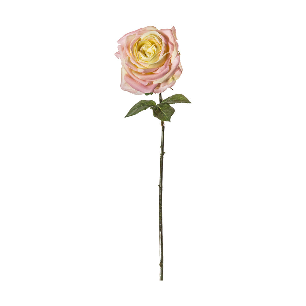 5059413400094-3pk-hudson-living-artificial-66cm-rose-stem-ivory-pink