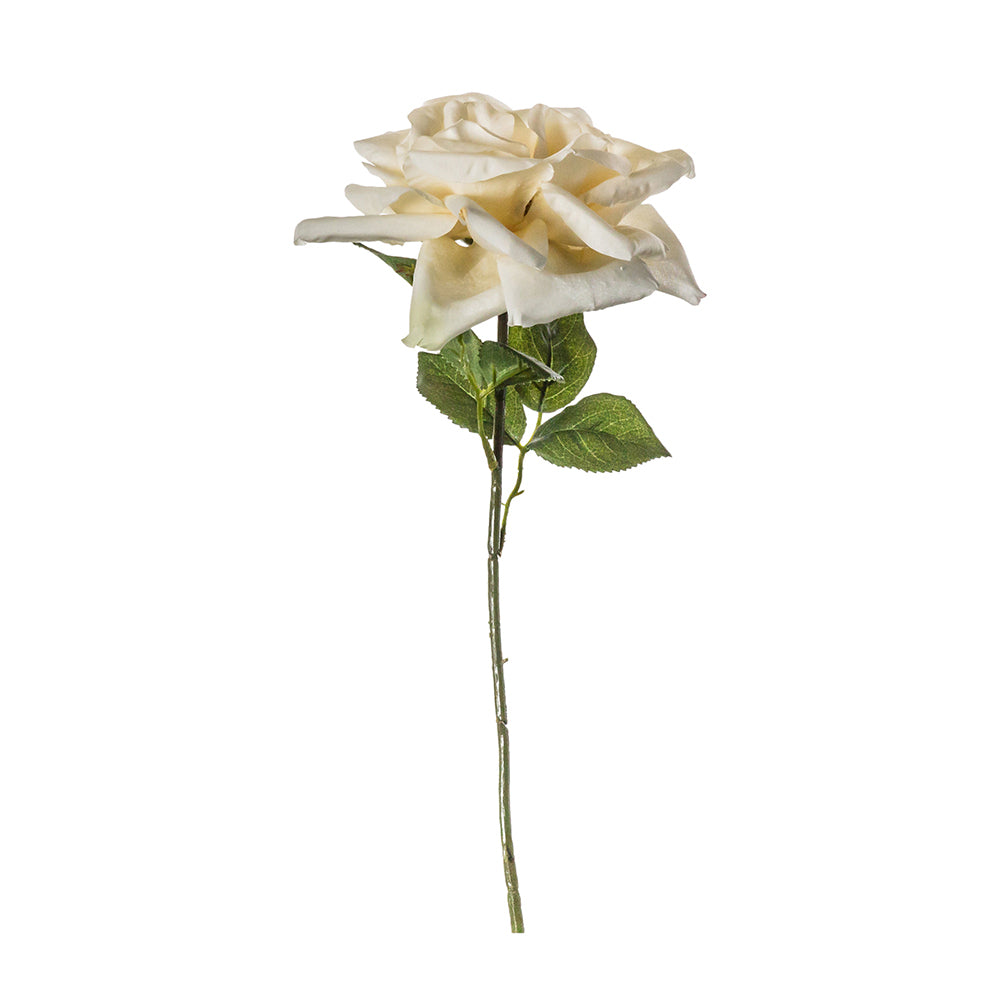 5059413400100-5pk-hudson-living-artificial-39cm-rose-polyantha-stem-faux-flower-white