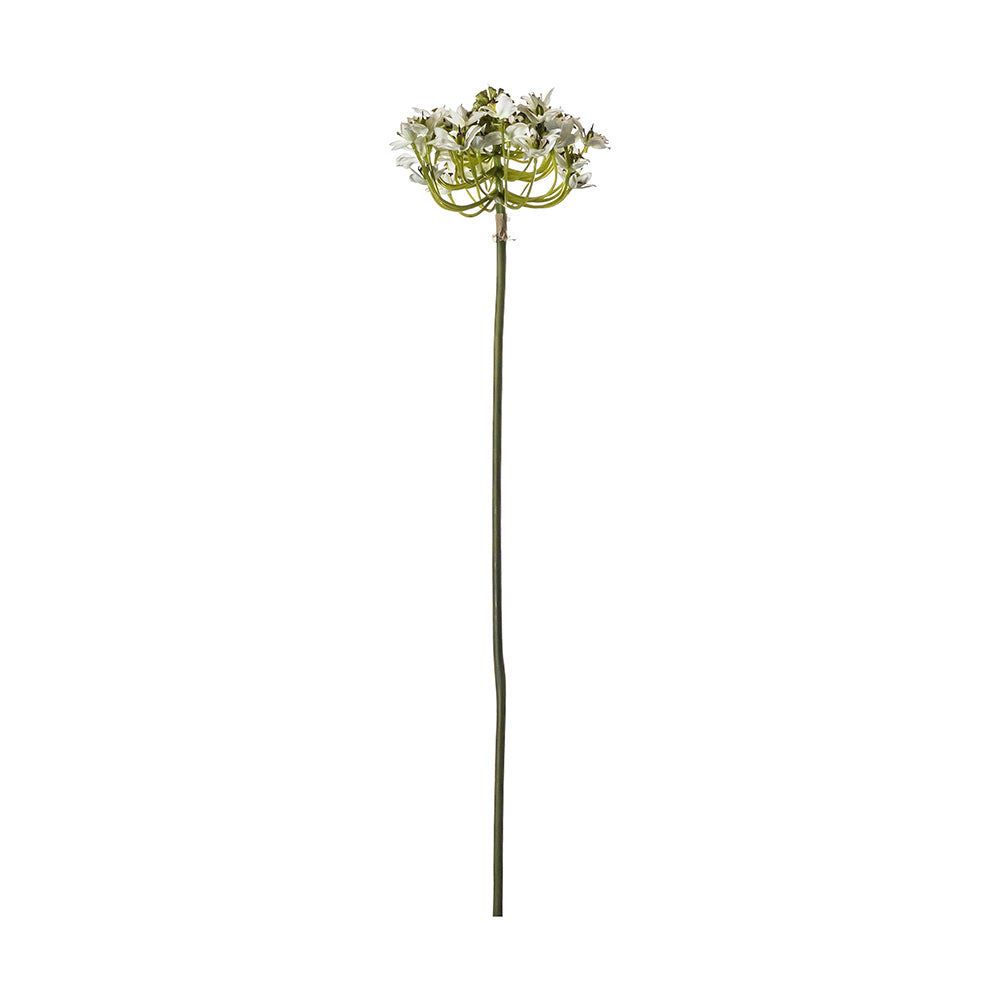 5059413400186-hudson-living-artificial-75cm-ornithogalum-stem-white