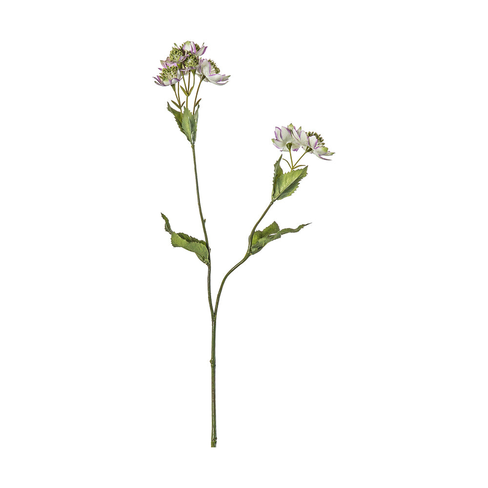 5059413400193-5pk-hudson-living-artificial-50cm-astrantia-spray-lilac
