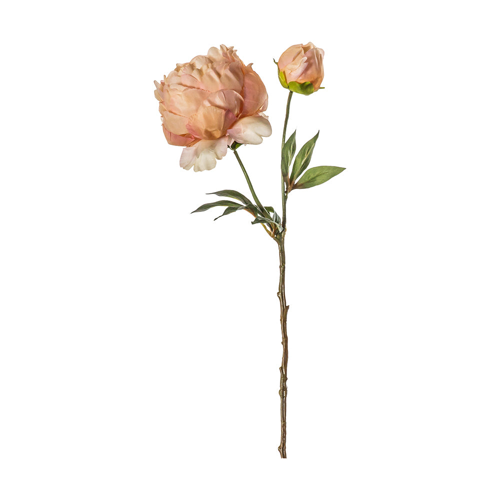 5059413400292-3pk-hudson-living-artificial-56cm-peony-stem-flower-peach
