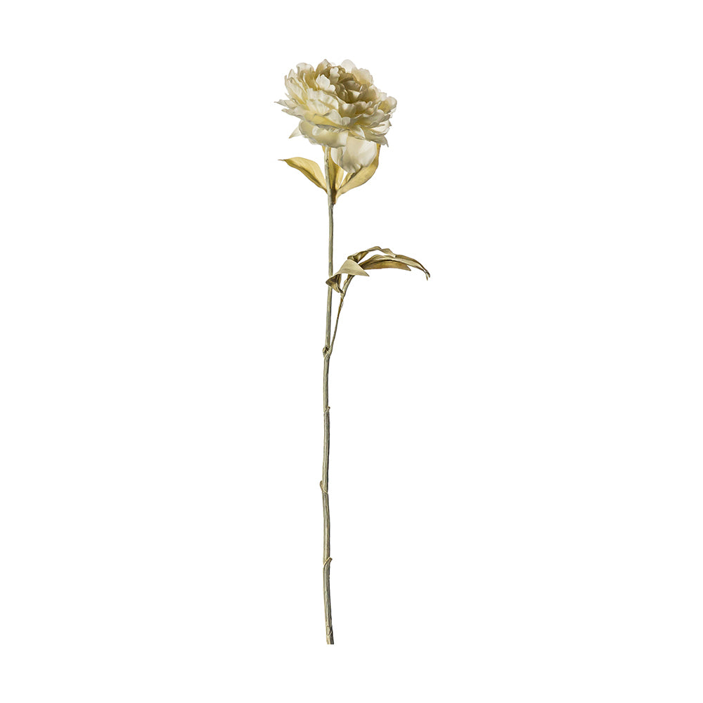 5059413400520-5pk-hudson-living-61cm-peony-stem-dry-look-white