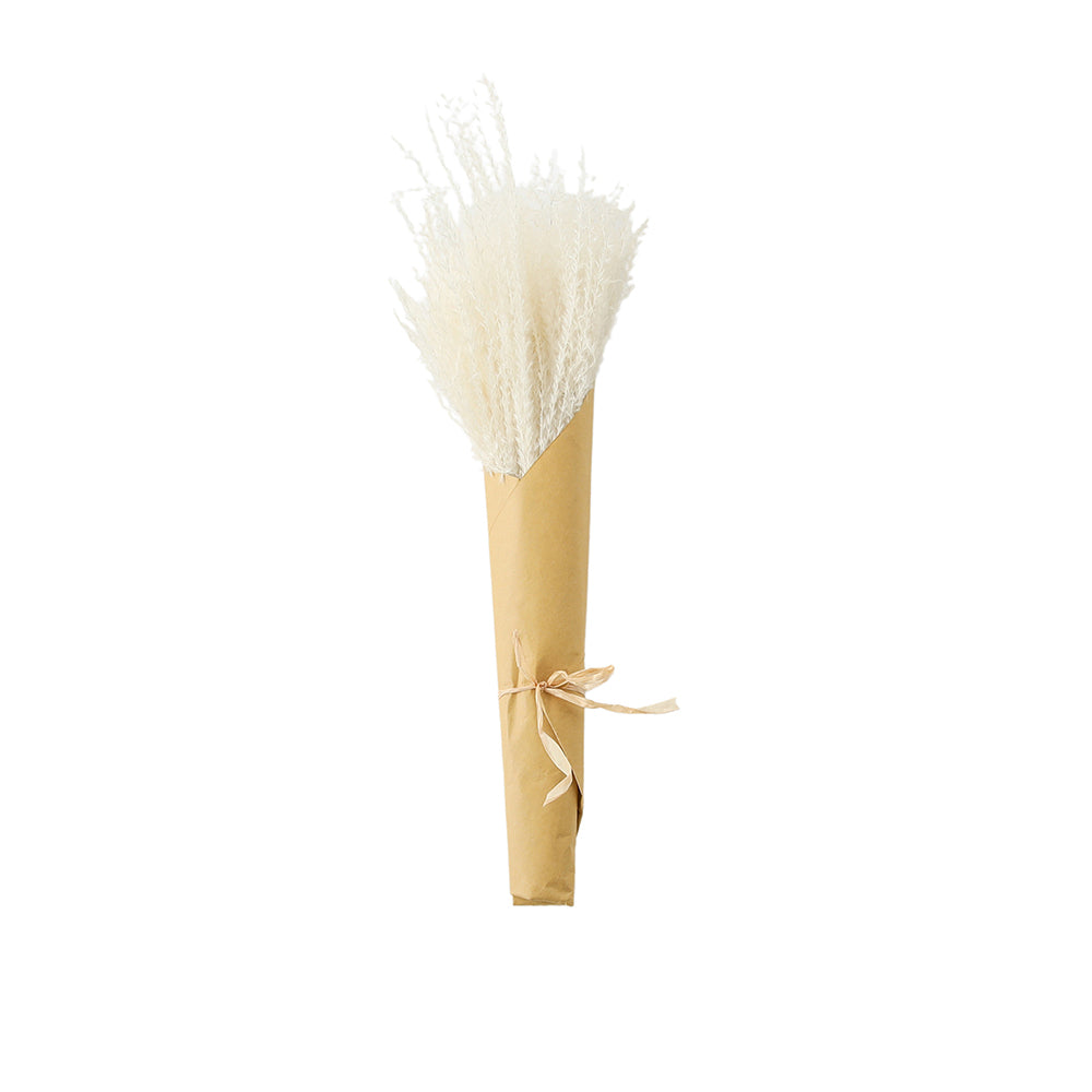 5059413695568-hudson-living-artificial-56cm-dried-reed-grass-bundle-paper-wrap-white