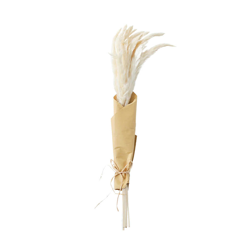 5059413695575-hudson-living-60cm-dried-reed-grass-bundle-in-paper-wrap-white