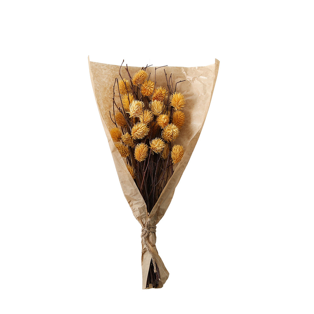 5059413695636-hudson-living-dried-54cm-thistle-bundle-in-paper-wrap-ochre