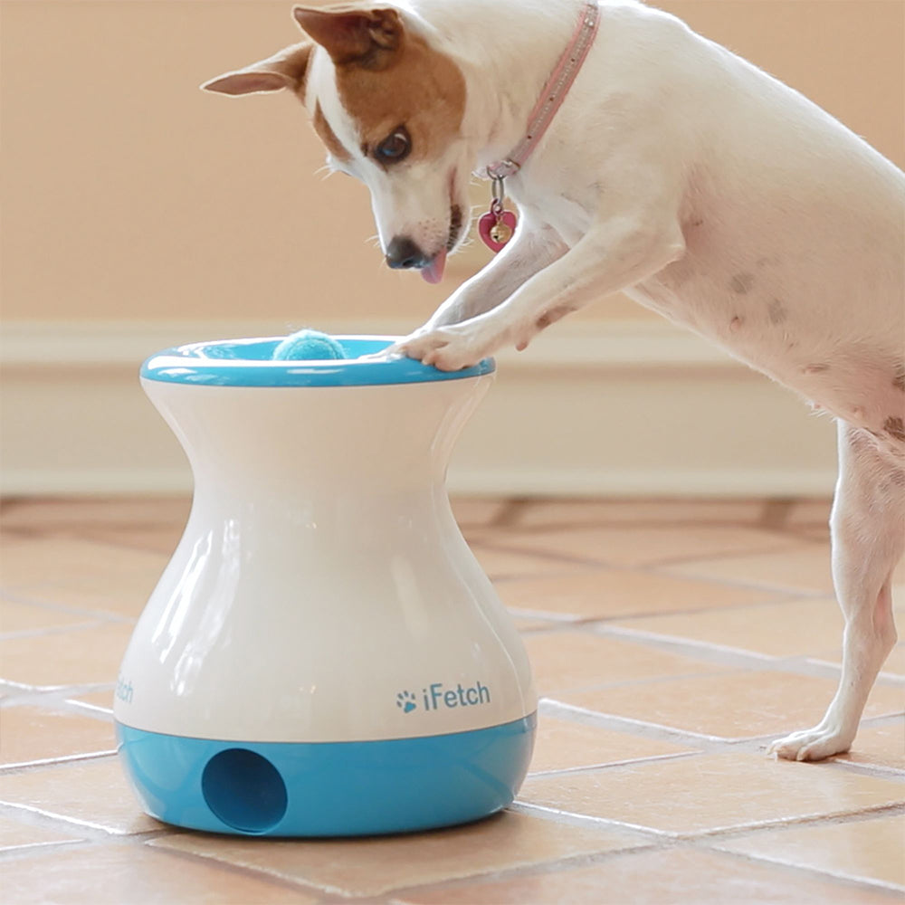 5064-ifetch-frenzy-automatic-gravity-ball-launcher-dog-fetch-toy-white-blue