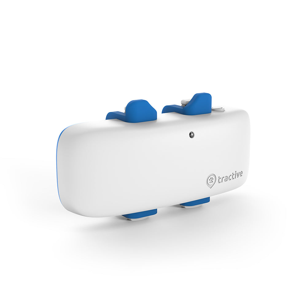 51005-tractive-dog-4-real-time-subscription-based-pet-gps-tracker