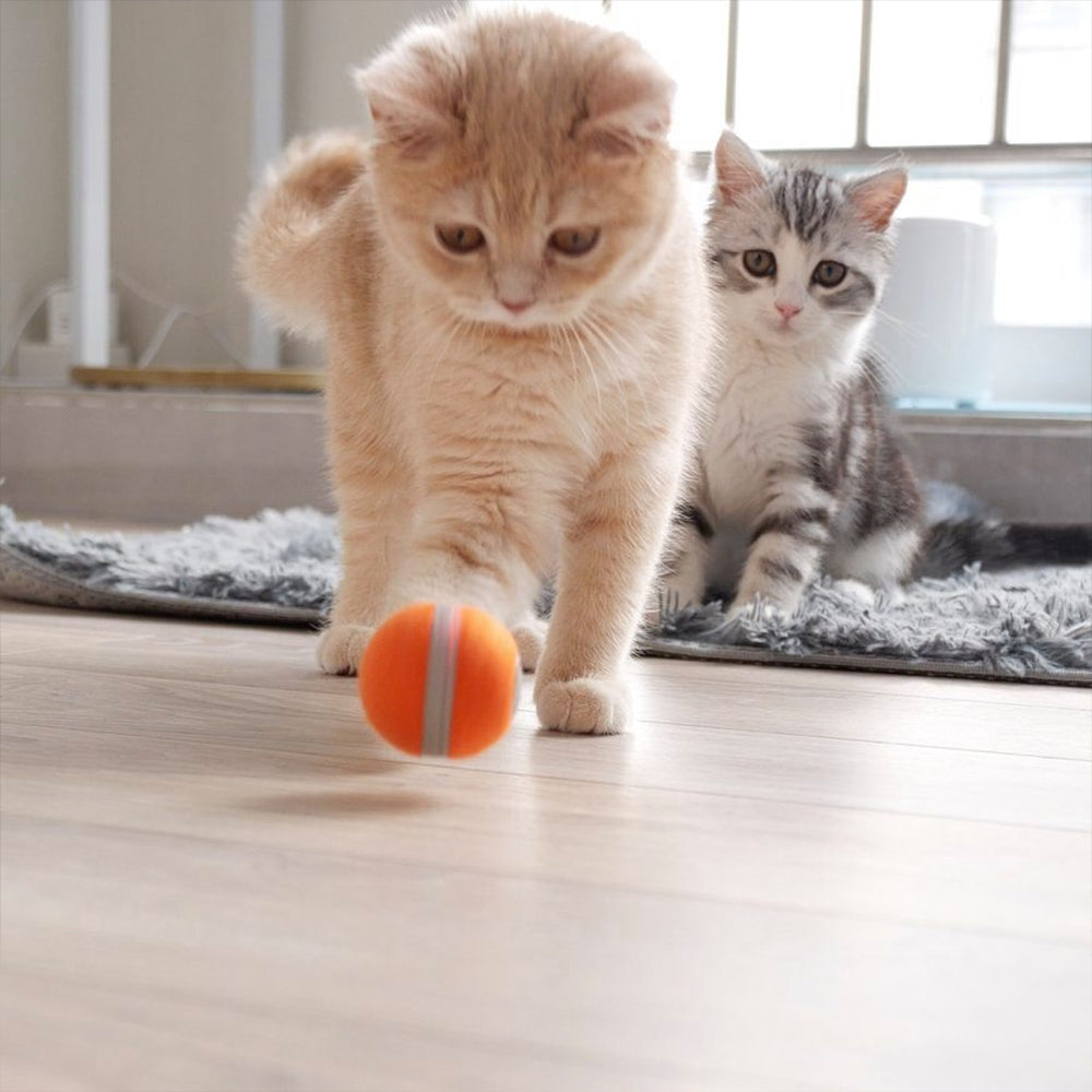 6886-cheerble-m1-mini-electronic-interactive-cat-ball-toy-red