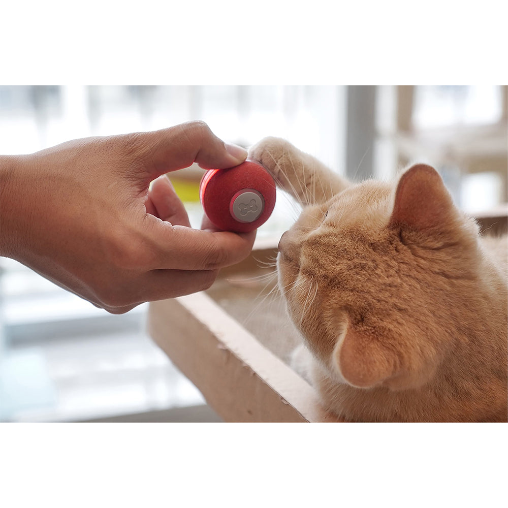 6886-cheerble-m1-mini-electronic-interactive-cat-ball-toy-red