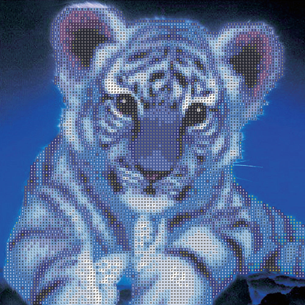 Junior Explorers Crystal Creations Canvas: White Tiger Cub