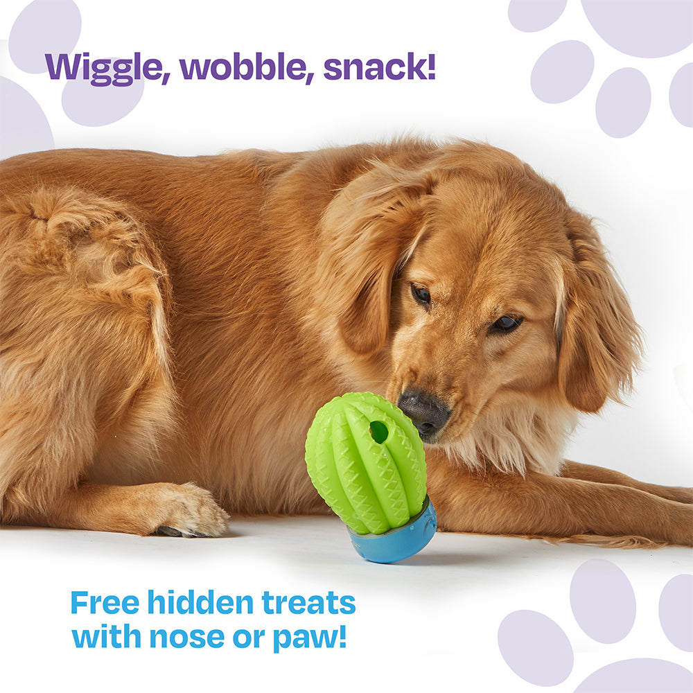 Brightkins Cactus Surprize Dog/Pet Treat Dispenser Puzzle/Toy Assorted