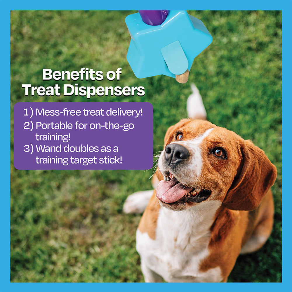 Brightkins Magic Star Wand Dog/Pet Treat Dispenser Blue/Purple 6y+