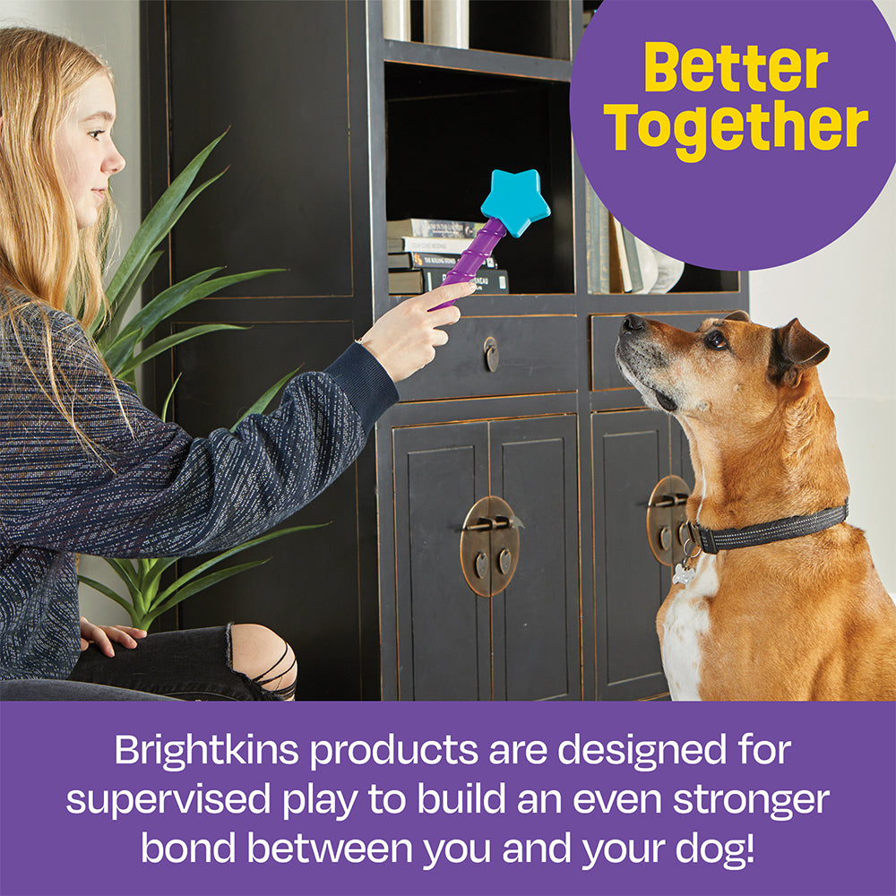 Brightkins Magic Star Wand Dog/Pet Treat Dispenser Blue/Purple 6y+