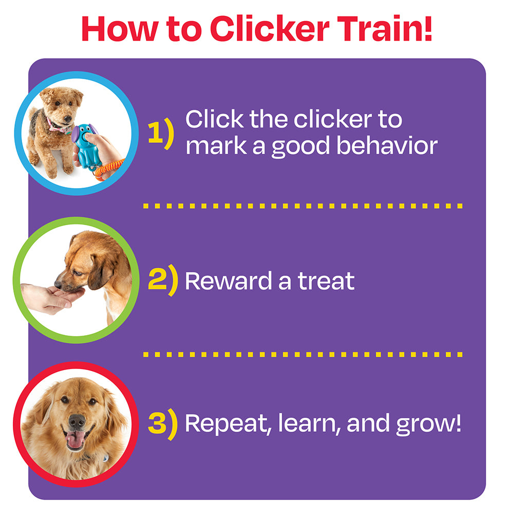 Brightkins Smarty Pooch Dog/Pet Training Clicker 6.5x7.5cm Blue/Purple