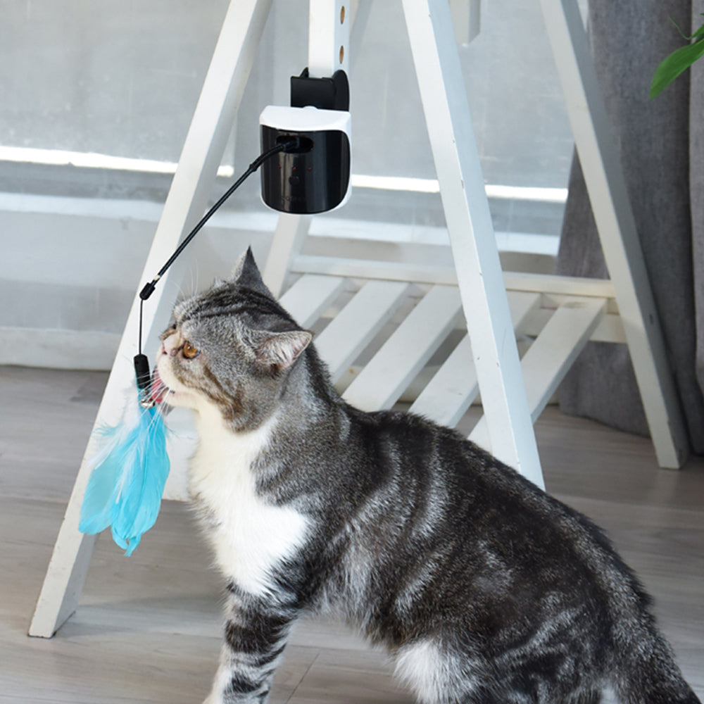 Dogness Electronic Interactive Laser And Feather Cat Teaser