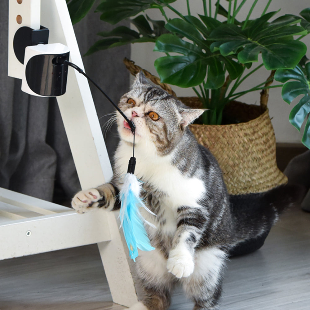 Dogness Electronic Interactive Laser And Feather Cat Teaser