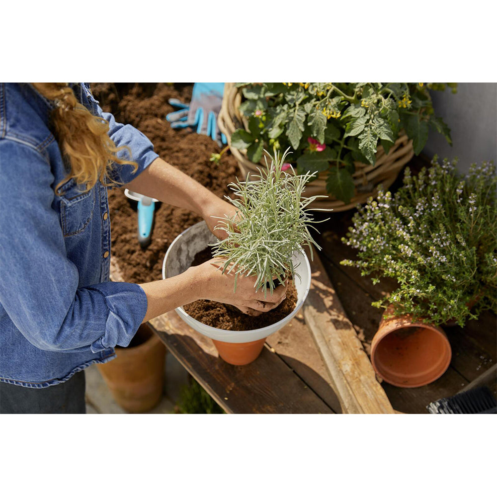 Gardena 11320-20 Clickup Flower Bowl Garden Decor