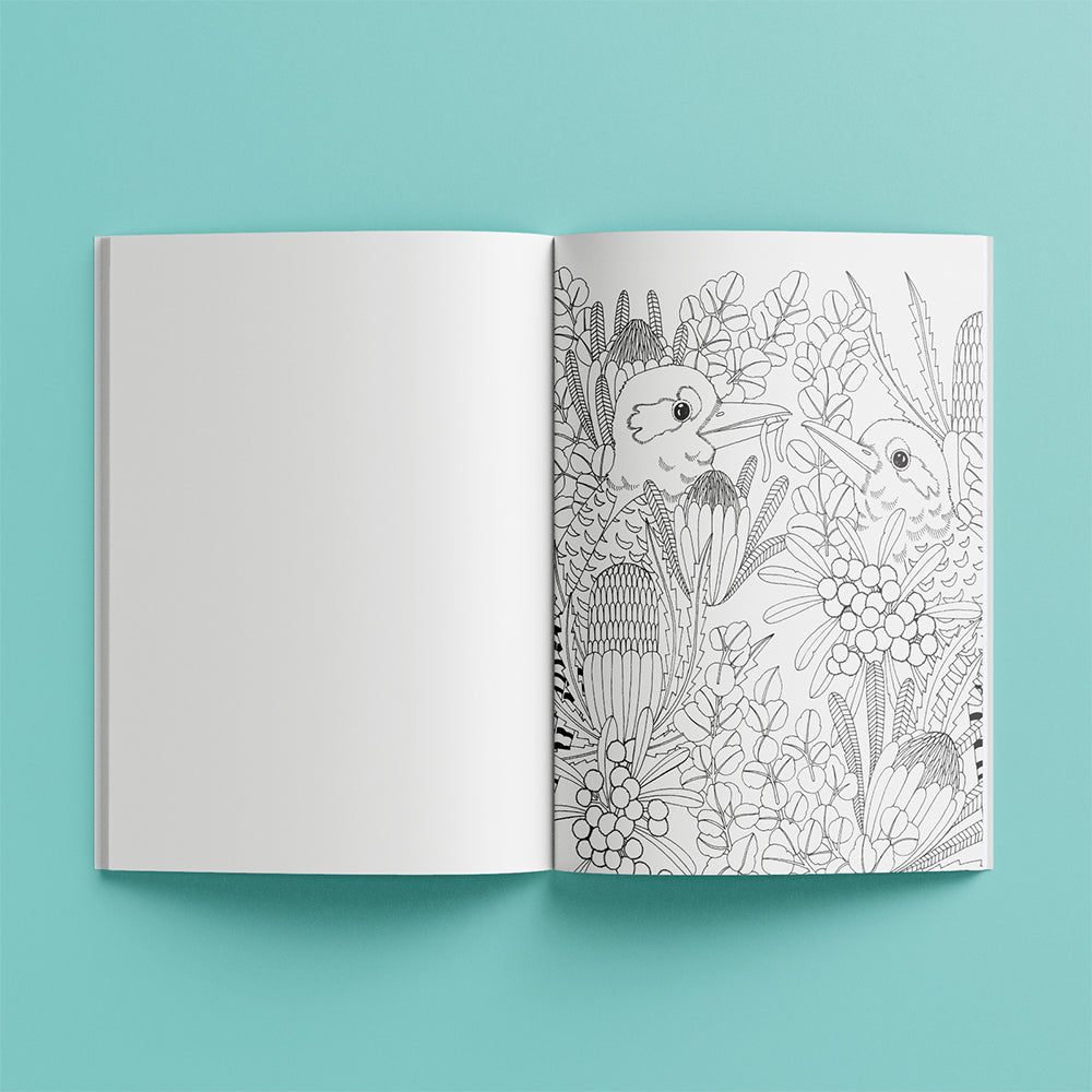Kaleidoscope Colouring Kit: Australian Dreams Activity Kit 6y+