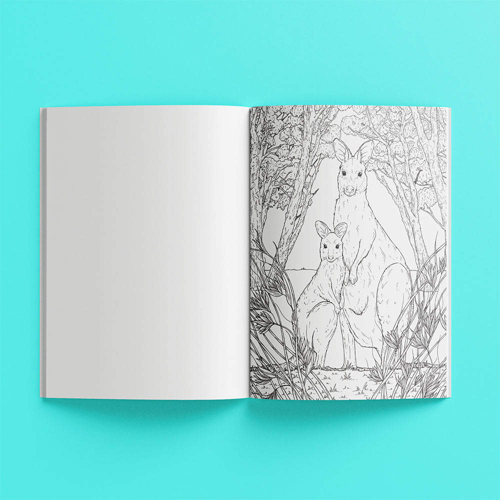 Kaleidoscope Colouring: Australian Animals Adult Colouring Book 12y+