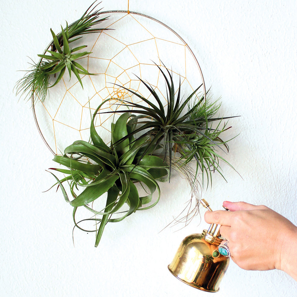 Dreamcatcher Create Your Own Wall Decor DIY Box Set