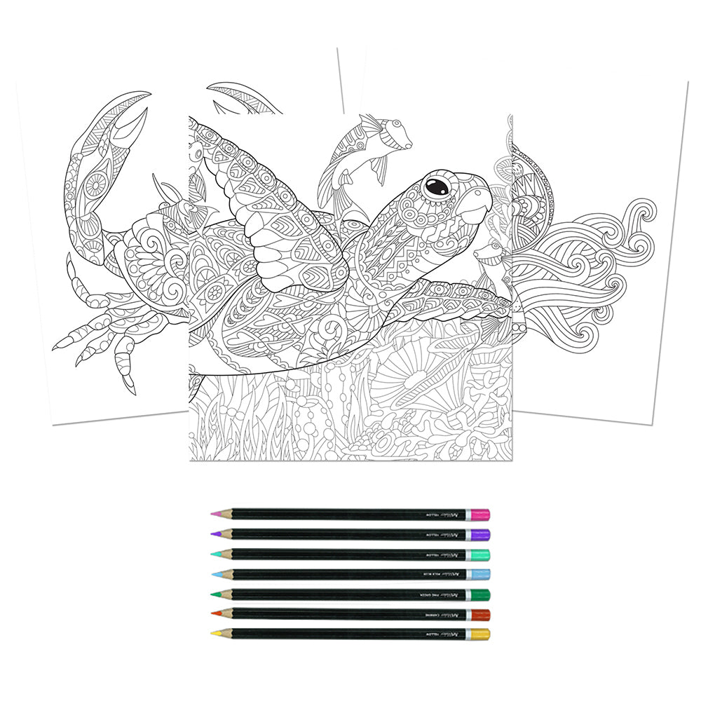 Art Maker Masterclass Collection Mindwaves Colouring Kit