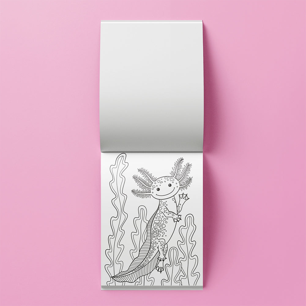 Kaleidoscope Colouring Kit: Axolotls Colouring Activity Kit