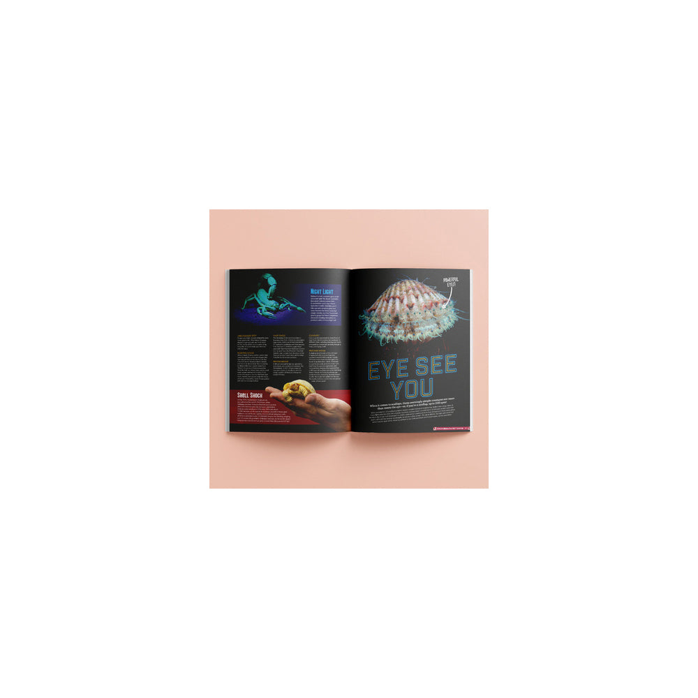Ripley's Believe It or Not Level Up 256-Page Book Hardcover