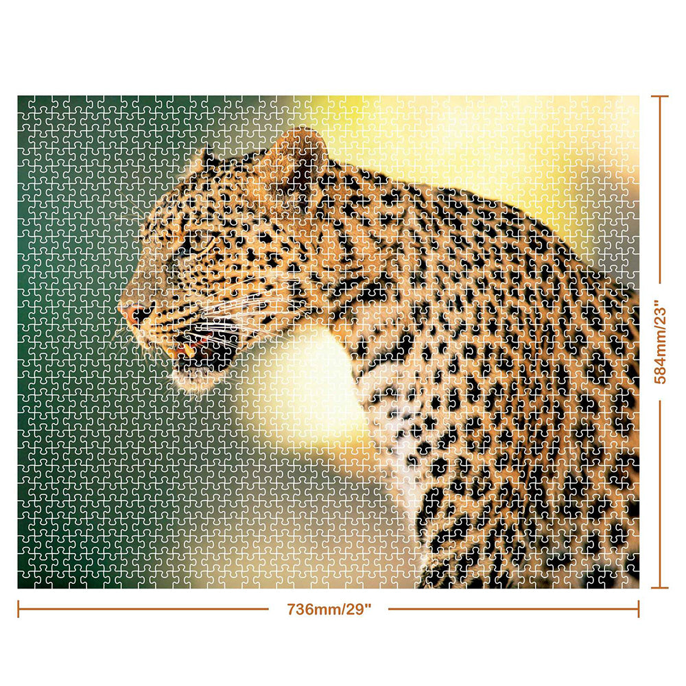 Mindbogglers 1000pc Jigsaw Puzzle: Leopard Animal Theme