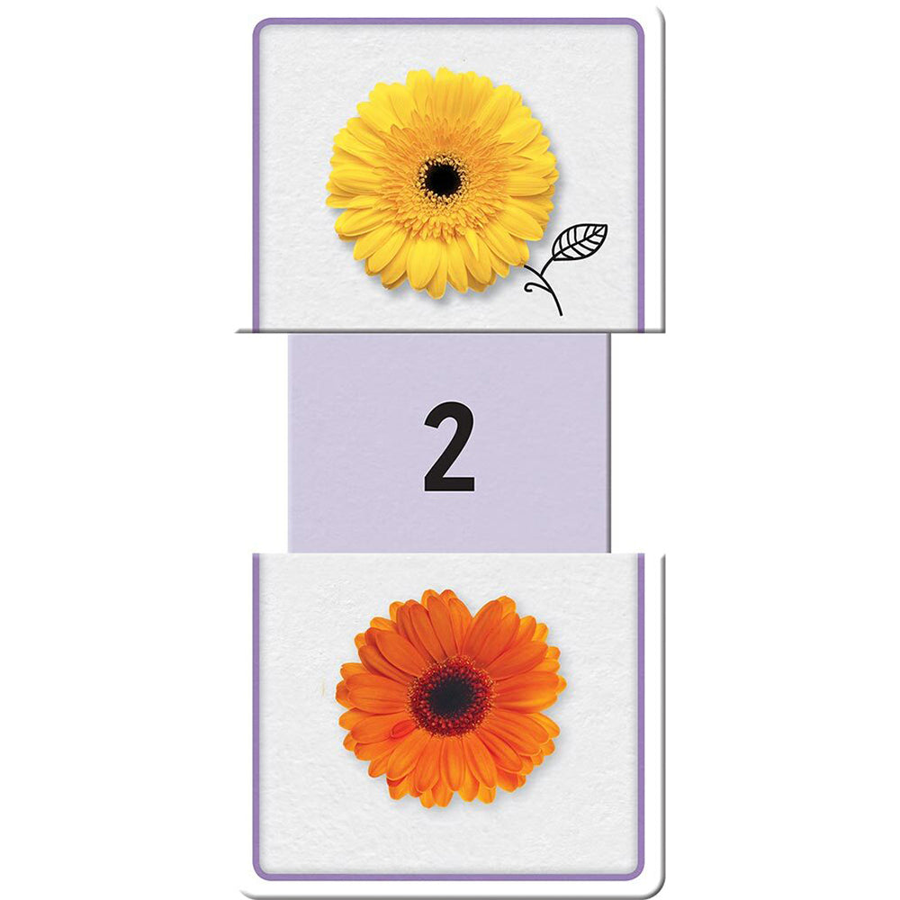 Building Blocks Slide & Learn Educational Flashcards Numbers 0y+