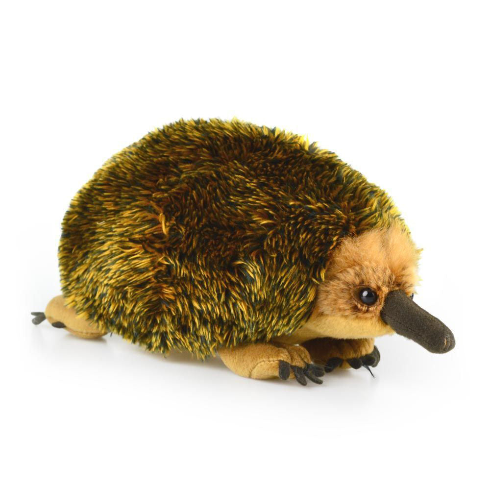110309553-korimco-souvenir-30cm-echidna-eddie-stuffed-animal-plush-toy-brown