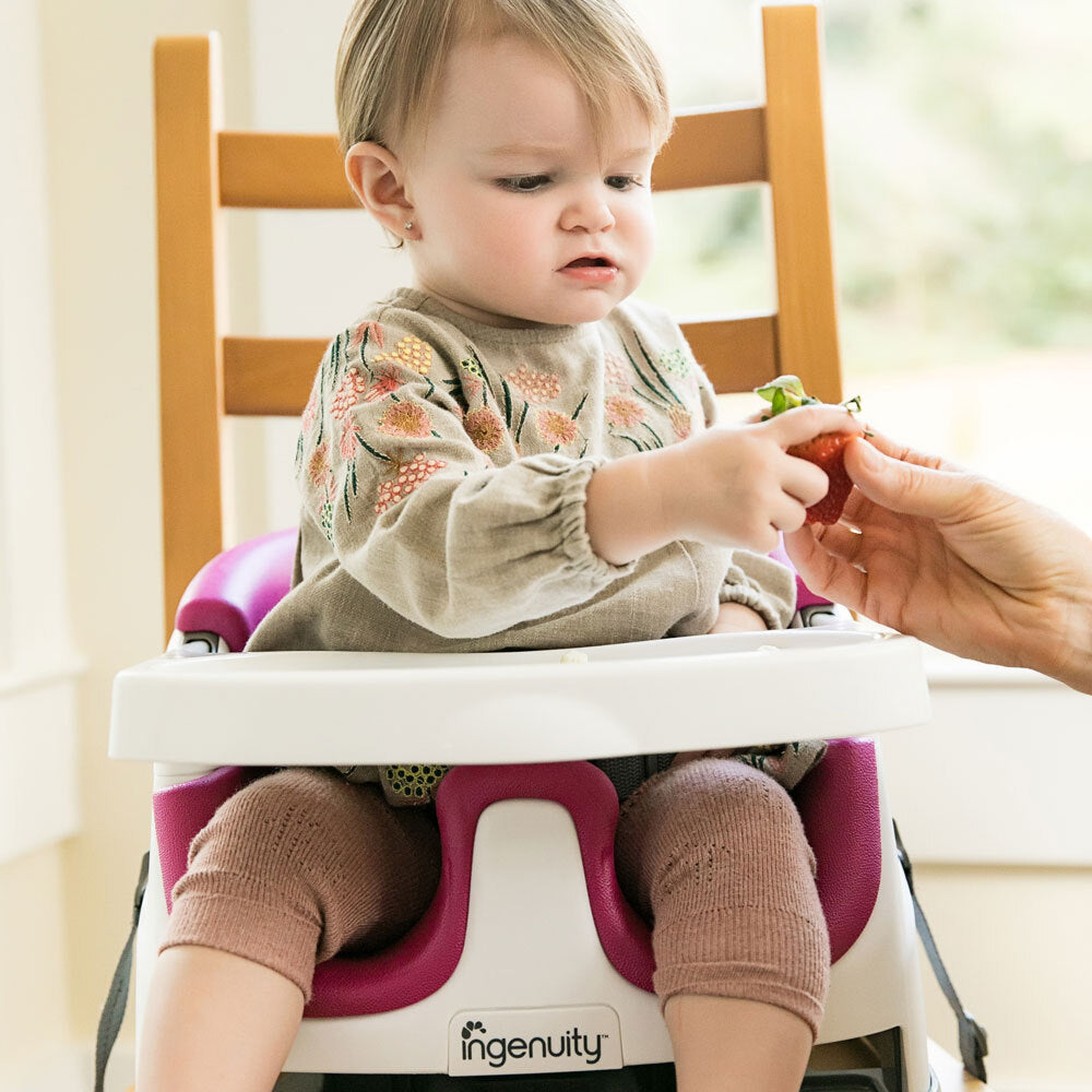 11579-ingenuity-baby-base-small-cube-pink-flambe