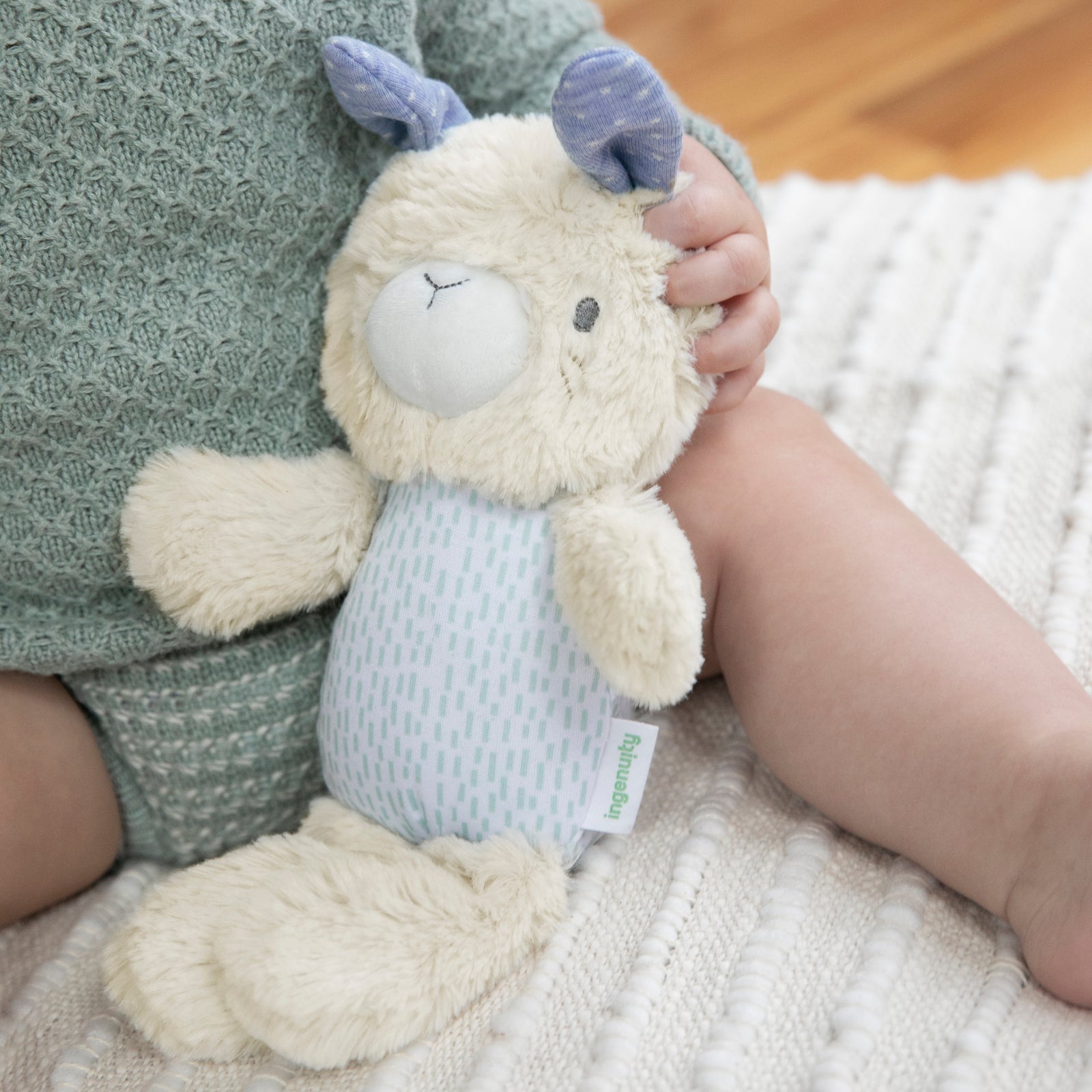 12375-ingenuity-sylvi-squeak-toy
