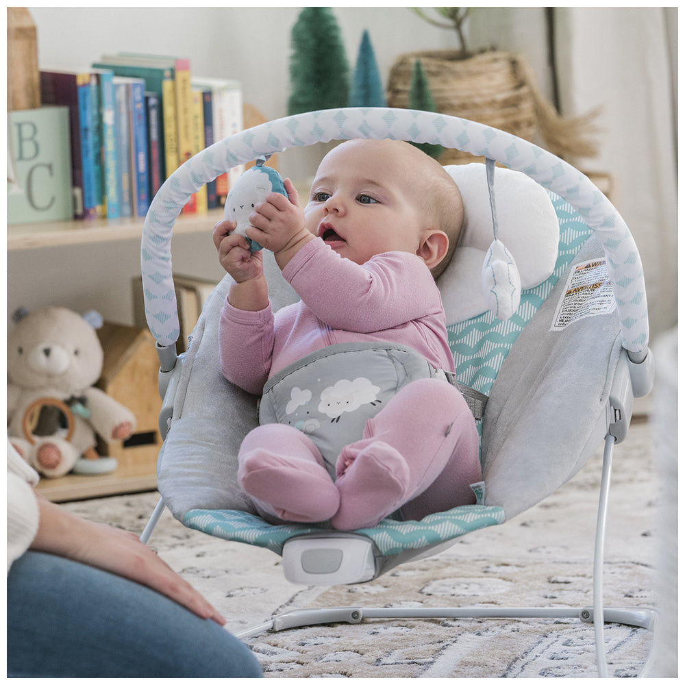 12535-ingenuity-ity-bouncity-bounce-vibrating-deluxe-bouncer-goji
