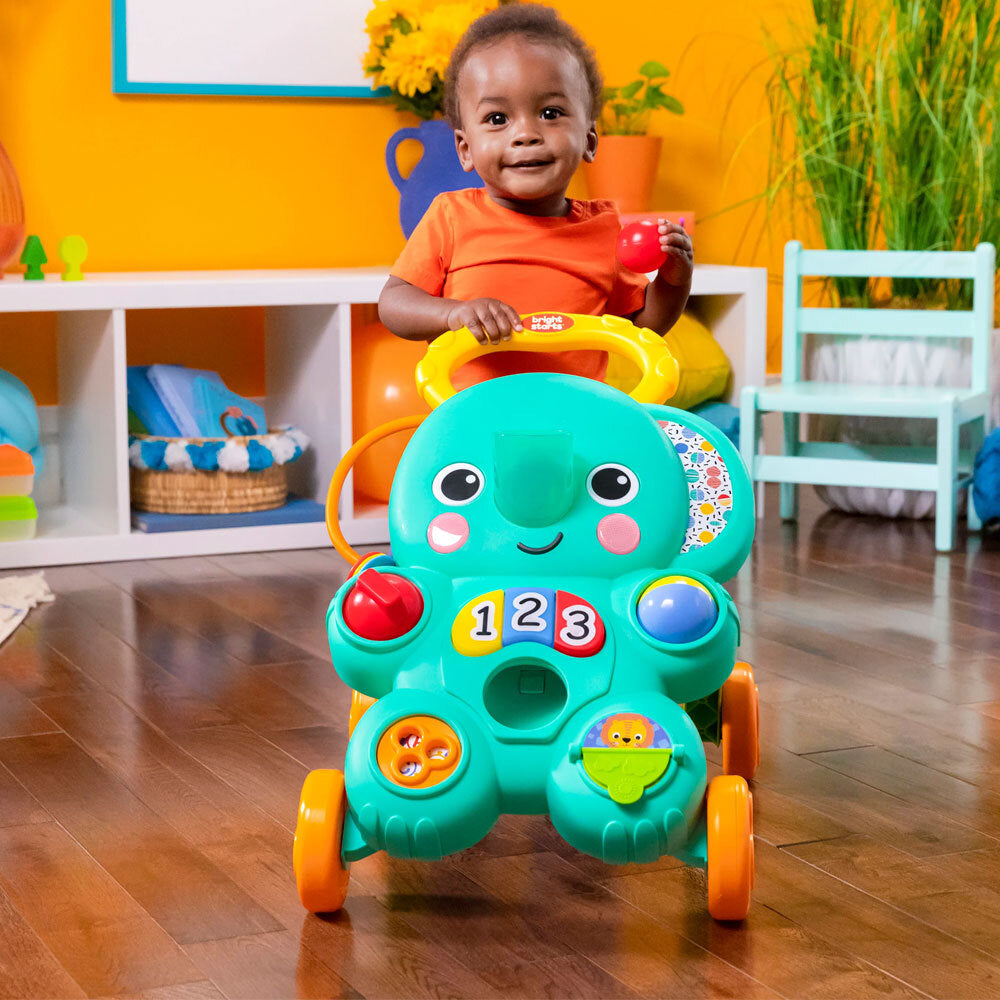 16801-bright-starts-2-in-1-stroll-roll-54cm-toy-walker-baby-6-36m
