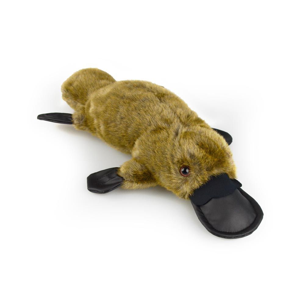 560310726-platypus-am-ab72-kids-31cm-soft-toy-3y