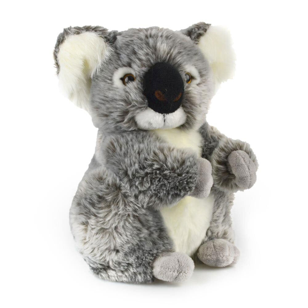 57-86085r-korimco-28cm-kalypso-koala-size-large