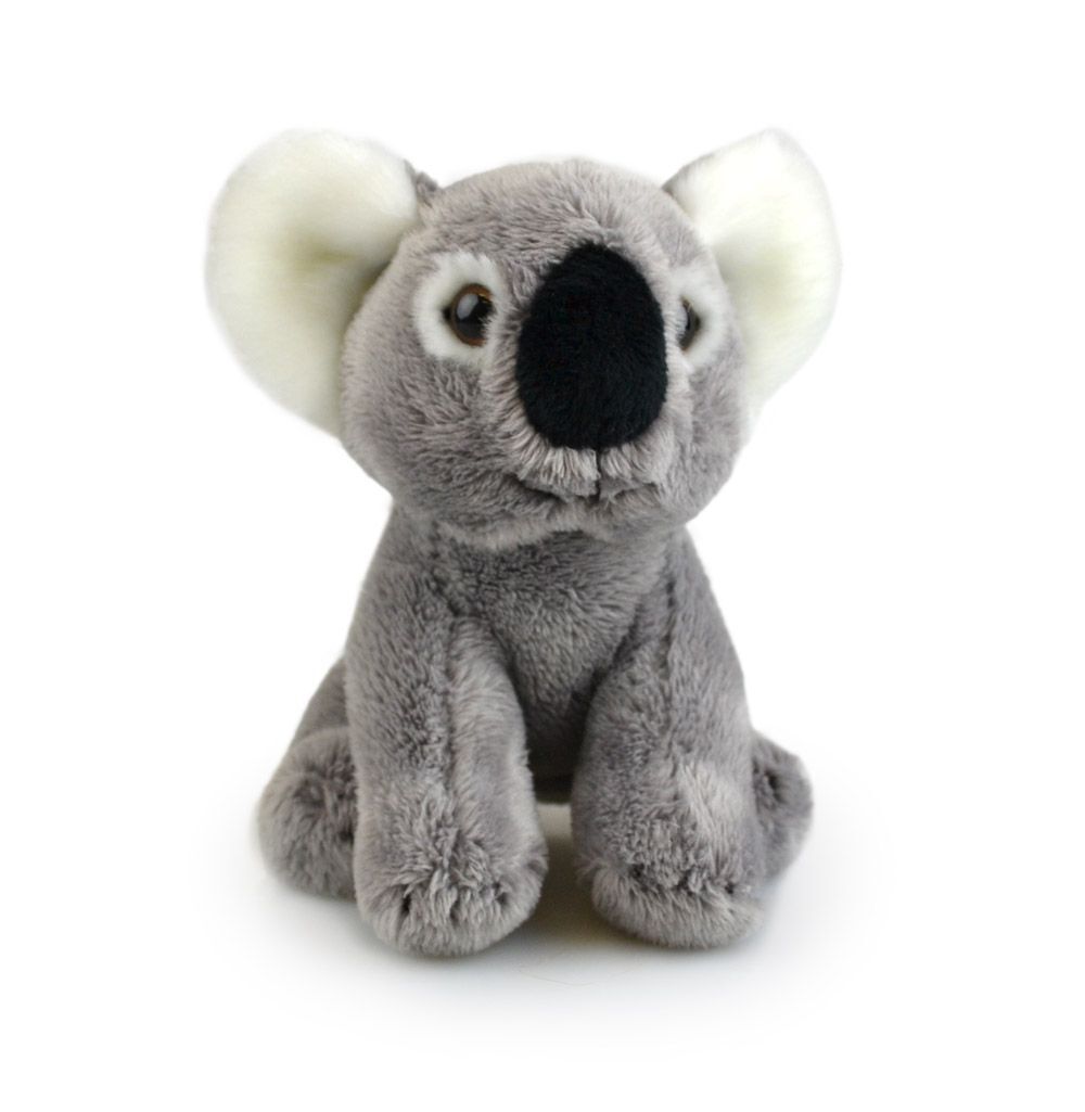 57i0152641-koala-lil-friends-kids-15cm-soft-toy-3y