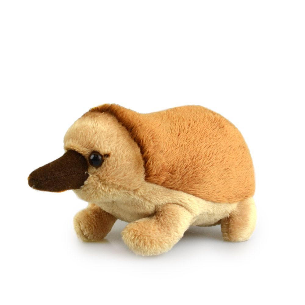 57i0152689-echidna-lil-friends-kids-15cm-soft-toy-3y