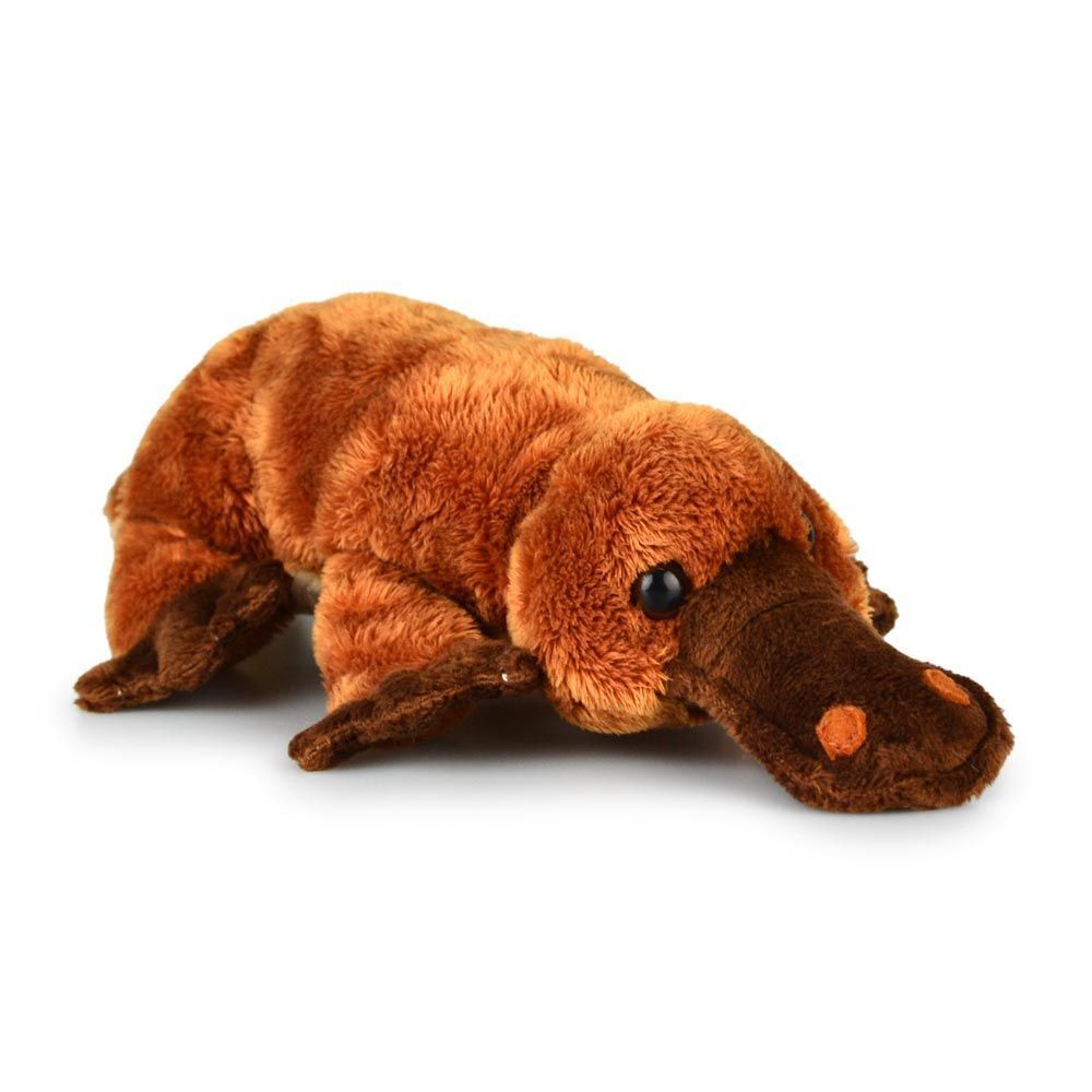 57i0177039-platypus-pancho-aussie-pals-kids-17cm-soft-toy-3y