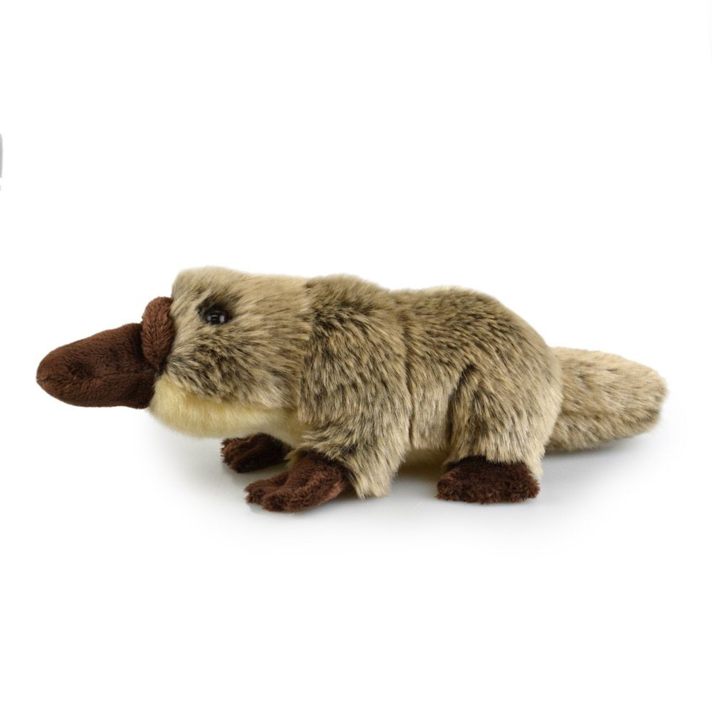 57i0182887-platypus-lil-friends-kids-18cm-soft-toy-3y