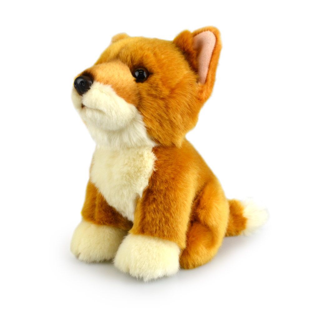 57i0182924-dingo-lil-friends-kids-18cm-soft-toy-3y