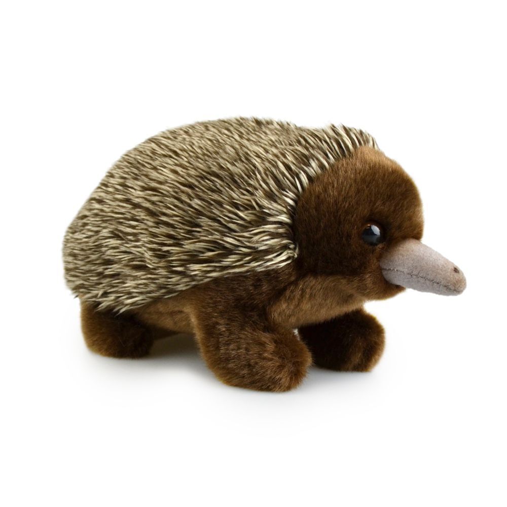 57i0183709-echidna-lil-friends-kids-18cm-soft-toy-3y