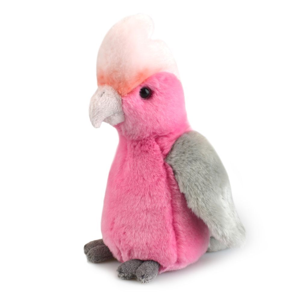 57i0184072-galah-lil-friends-kids-18cm-soft-toy-3y