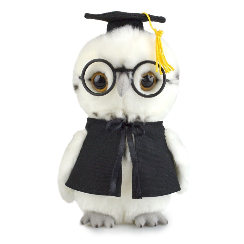 57i0184102-grad-owl-lil-friends-kids-18cm-soft-toy-3y