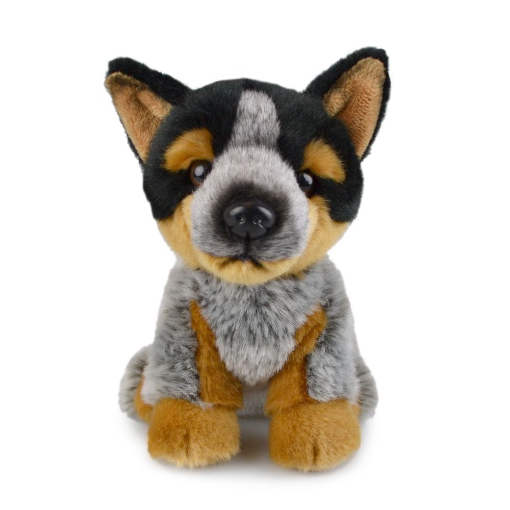 57i0185109-blue-heeler-lil-friends-kids-18cm-soft-toy-3y