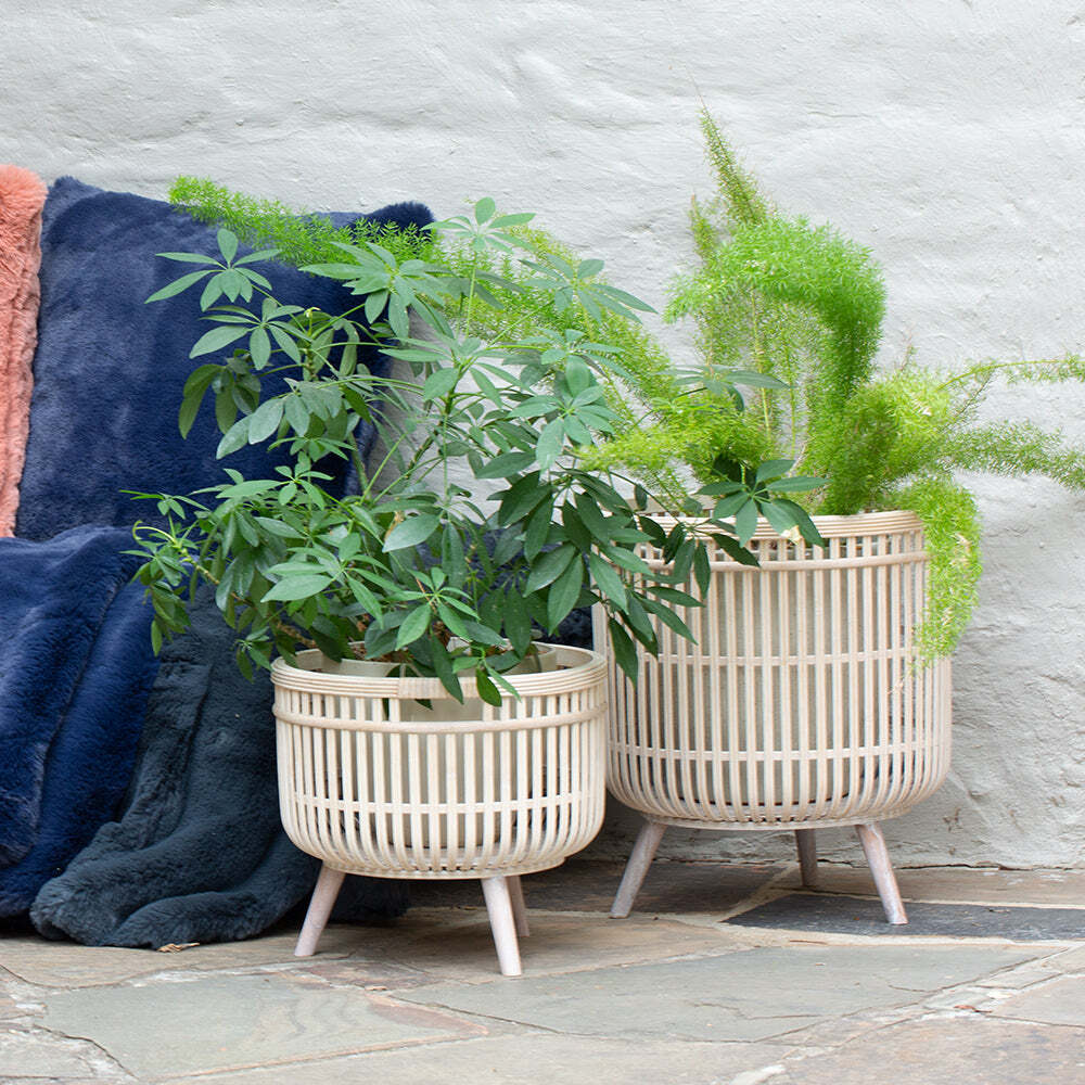 J. Elliot Shay Set of 2 Planters 38x38x42.5cm & 33x33x30cm Whitewash