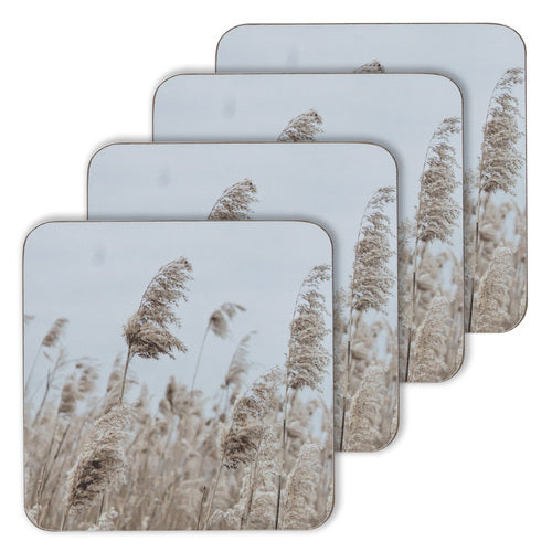 49480-4pc-ladelle-hardboard-cork-backed-wheat-drink-coasters