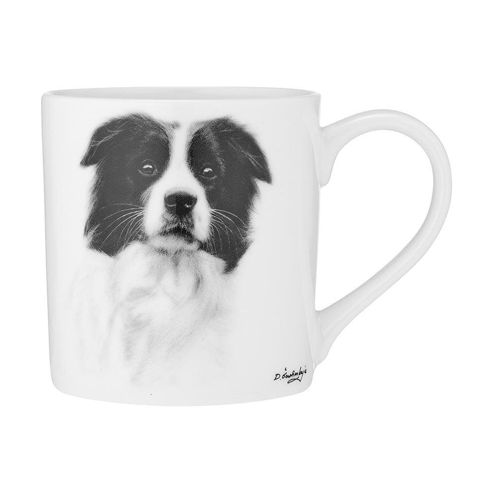 519714-ashdene-delightful-dogs-border-collie-city-mug-330ml